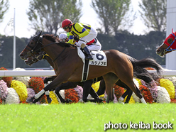 カラープリント(アルミ枠なし)2015年10月31日京都5R 2歳新馬(カジノブギ)