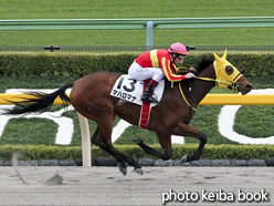 カラープリント(アルミ枠付き)2015年10月31日東京6R 3歳上500万下(マハロマナ)