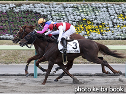 カラーパネル2015年10月31日福島3R 3歳上500万下(カネコメオスター)