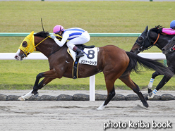 カラーパネル2015年11月1日京都7R 3歳上500万下(メジャーシップ)