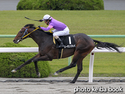 カラープリント(アルミ枠付き)2015年11月1日京都10R 渡月橋ステークス(スーサンジョイ)