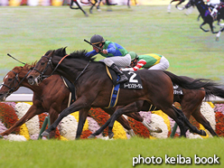 カラーパネル2015年11月1日京都11R カシオペアステークス(トーセンスターダム)