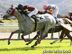 カラープリント(アルミ枠なし)2015年11月1日福島4R 障害未勝利(エイシンフランキー)