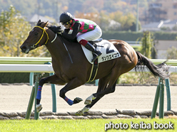 カラープリント(アルミ枠付き)2015年11月1日福島5R 2歳新馬(ダンツエイコウ)