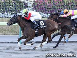 カラープリント(アルミ枠付き)2015年11月1日福島11R 福島民友カップ(ランウェイワルツ)