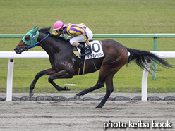 カラーパネル2015年11月7日京都3R 2歳未勝利(ダイナミックアロー)