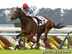 カラーパネル2015年11月7日京都6R 2歳新馬(ラルク)