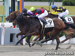 カラーパネル2015年11月7日京都8R 3歳上500万下(センターピース)