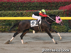 カラープリント(アルミ枠付き)2015年11月7日東京12R 3歳上1000万下(アポロケンタッキー)