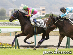 カラープリント(アルミ枠なし)2015年11月7日福島5R 障害オープン(テイエムオペラドン)