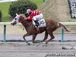 カラーパネル2015年11月7日福島7R 3歳上500万下(メランコリア)