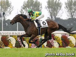 カラープリント(アルミ枠なし)2015年11月8日京都5R 2歳新馬(サトノダイヤモンド)