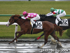 カラーパネル2015年11月8日京都6R 2歳新馬(ミキノヘラクレス)