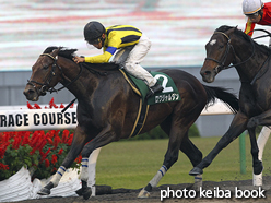 カラープリント(アルミ枠付き)2015年11月8日京都11R みやこステークス(ロワジャルダン)