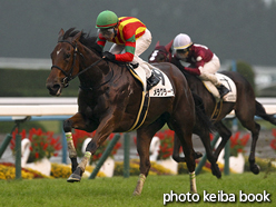 カラープリント(アルミ枠なし)2015年11月8日京都12R 3歳上1000万下(メラグラーナ)