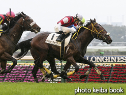 カラーパネル2015年11月8日東京3R 2歳未勝利(ウインシンフォニア)