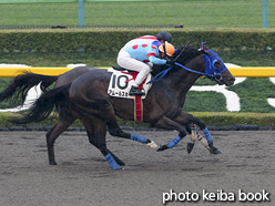 カラープリント(アルミ枠なし)2015年11月8日東京7R 3歳上500万下(アムールスキー)