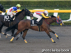 カラーパネル2015年11月8日東京10R 銀嶺ステークス(アンズチャン)