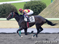 カラープリント(アルミ枠なし)2015年11月8日福島5R 2歳新馬(ドミナドール)
