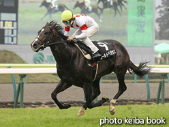 カラープリント(アルミ枠なし)2015年11月8日福島11R みちのくステークス(ゴールドペガサス)