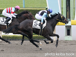 カラーパネル2015年11月14日東京1R 2歳未勝利(プリンシアコメータ)