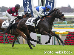 カラーパネル2015年11月14日東京3R 2歳未勝利(ダイワドレッサー)