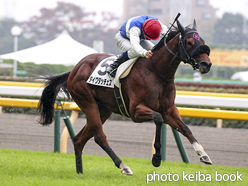 カラーパネル2015年11月14日東京4R 2歳未勝利(ダイワダッチェス)