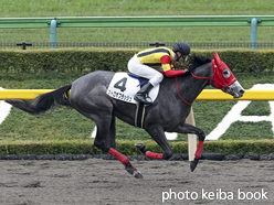 カラープリント(アルミ枠付き)2015年11月14日東京5R 2歳新馬(ストロボフラッシュ)