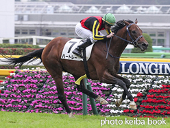 カラーパネル2015年11月14日東京6R 2歳新馬(ハートレー)