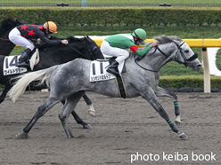 カラープリント(アルミ枠付き)2015年11月14日東京7R 3歳上500万下(シンボリハミルトン)