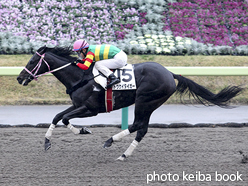 カラープリント(アルミ枠なし)2015年11月14日福島6R 3歳上500万下(トウケイタイガー)