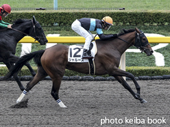 カラーパネル2015年11月15日東京1R 2歳未勝利(ジャルーズ)