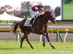 カラーパネル2015年11月15日東京6R 2歳新馬(ドーヴァー)