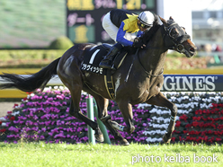 カラープリント(アルミ枠なし)2015年11月15日東京10R 奥多摩ステークス(ブラヴィッシモ)