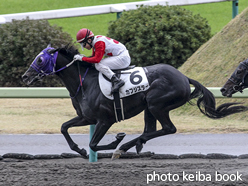 カラープリント(アルミ枠なし)2015年11月15日福島2R 3歳上500万下(カフジスター)