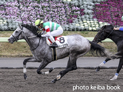 カラーパネル2015年11月15日福島6R 3歳上500万下(ヴァージナル)