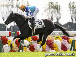 カラープリント(アルミ枠付き)2015年11月21日京都3R 2歳未勝利(ヴィブロス)