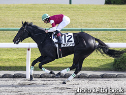 カラープリント(アルミ枠付き)2015年11月21日京都7R 3歳上500万下(ザマンダ)