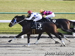 カラープリント(アルミ枠なし)2015年11月21日京都9R もちの木賞(レガーロ)