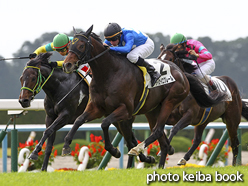 カラープリント(アルミ枠付き)2015年11月22日京都3R 2歳未勝利(タイセイエクレール)