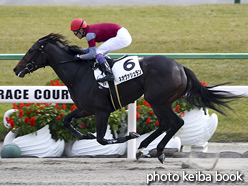 カラーパネル2015年11月22日京都6R 3歳上500万下(ネオヴァシュラン)