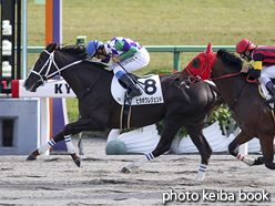 カラープリント(アルミ枠なし)2015年11月22日京都7R 3歳上500万下(ヒラボクレジェンド)