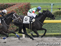 カラープリント(アルミ枠付き)2015年11月22日東京1R 2歳未勝利(アジュールローズ)