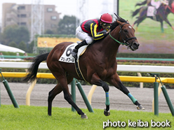 カラーパネル2015年11月22日東京5R 2歳新馬(マレボプール)