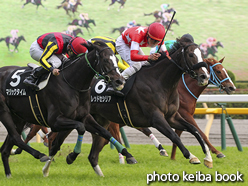 カラープリント(アルミ枠付き)2015年11月22日東京10R ユートピアステークス(レッドセシリア)