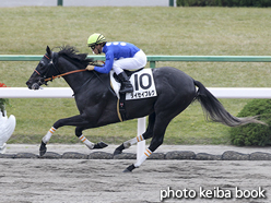 カラープリント(アルミ枠付き)2015年11月23日京都2R 2歳未勝利(タイセイブルグ)