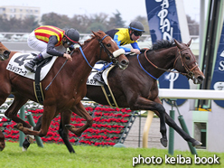 カラーパネル2015年11月23日東京5R 2歳新馬(ハマヒルガオ)