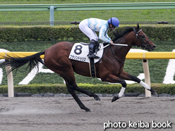 カラープリント(アルミ枠なし)2015年11月23日東京7R 3歳上500万下(ブラゾンドゥリス)