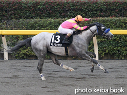 カラープリント(アルミ枠付き)2015年11月23日東京9R 伊勢佐木特別(アカノジュウハチ)