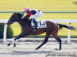 カラープリント(アルミ枠なし)2015年11月28日京都2R 2歳未勝利(ユアマイラブ)